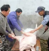 出H6~伝H%猪?}S的简单介绍